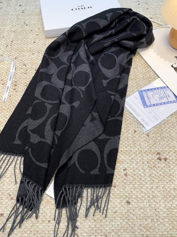 Coach Scarf 48X200cm E09 (49)