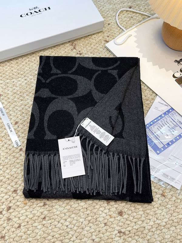 Coach Scarf 48X200cm E09 (50)