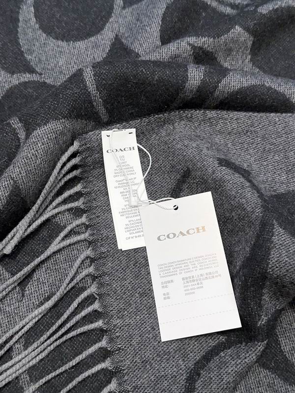 Coach Scarf 48X200cm E09 (51)