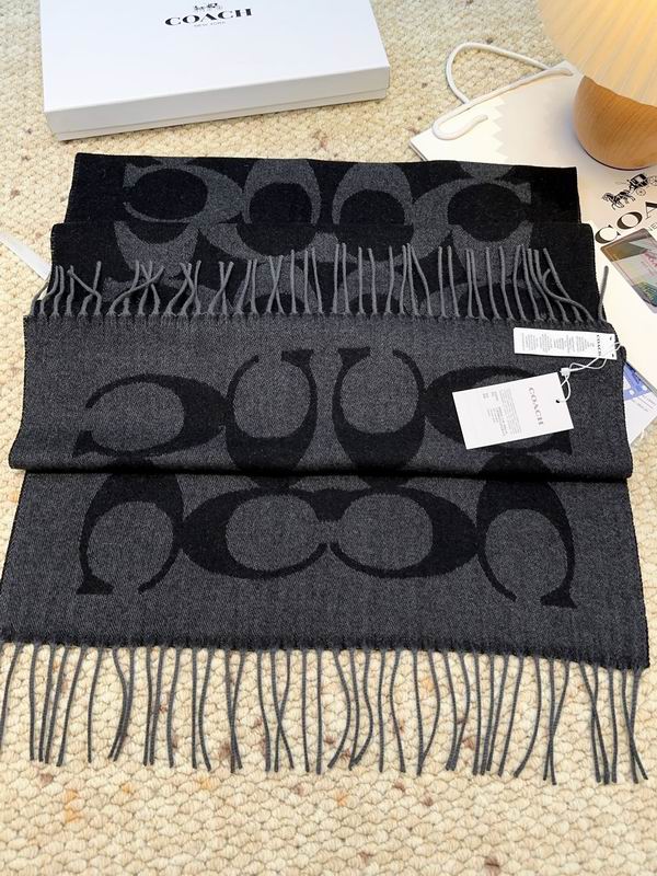 Coach Scarf 48X200cm E09 (52)