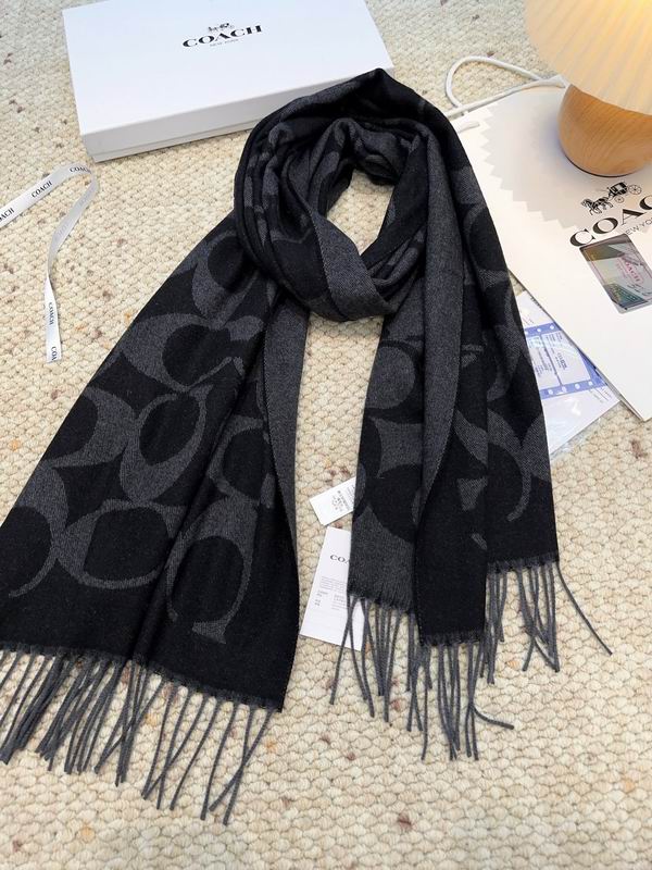 Coach Scarf 48X200cm E09 (53)