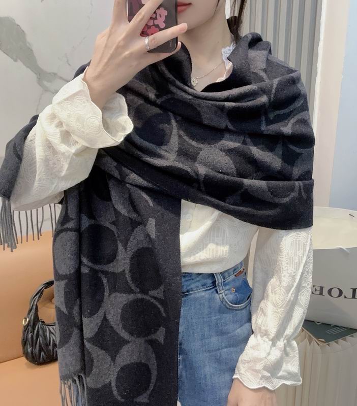 Coach Scarf 48X200cm E09 (54)