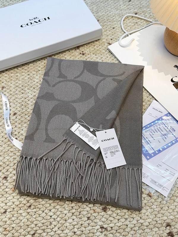 Coach Scarf 48X200cm E09 (9)