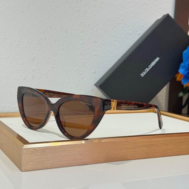 DG Glasses smr (529)