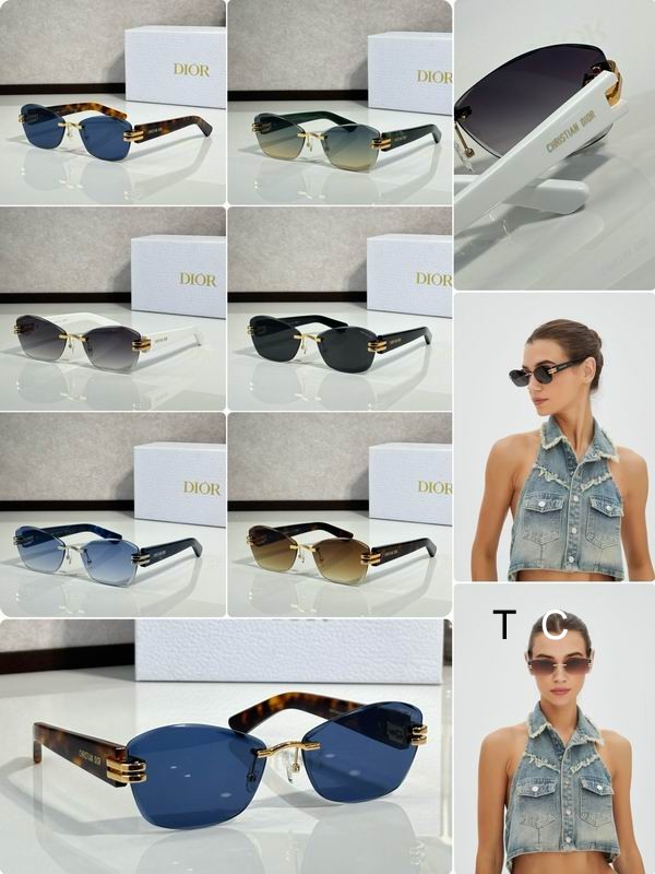 Dior  DSGTA5 64 18-145 c08