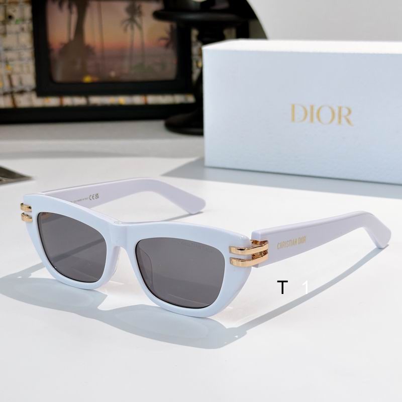 Dior B2U 52 16-135 a03