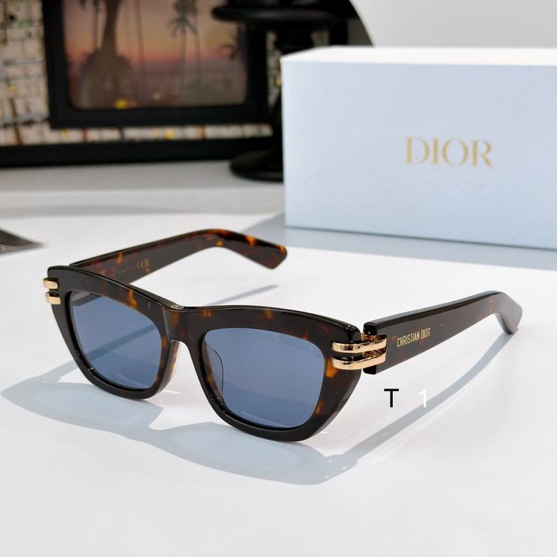 Dior B2U 52 16-135 a04
