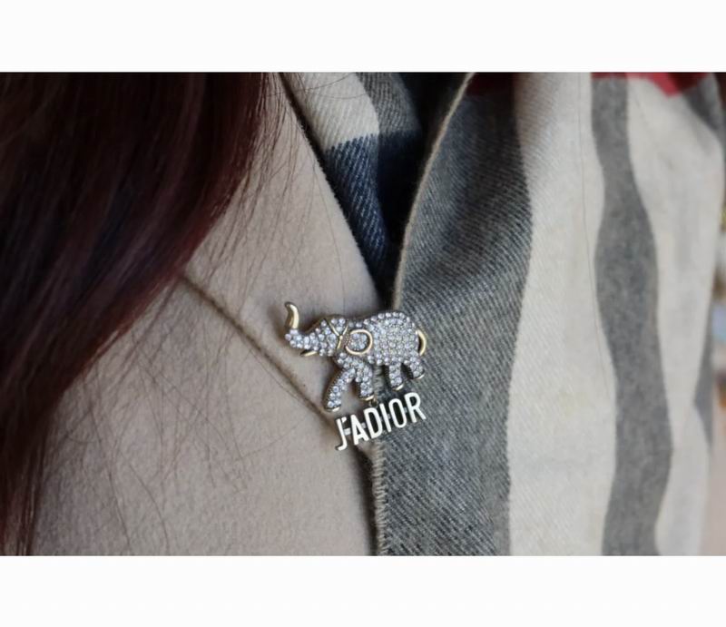 Dior Brooch 11yxx07 (5)