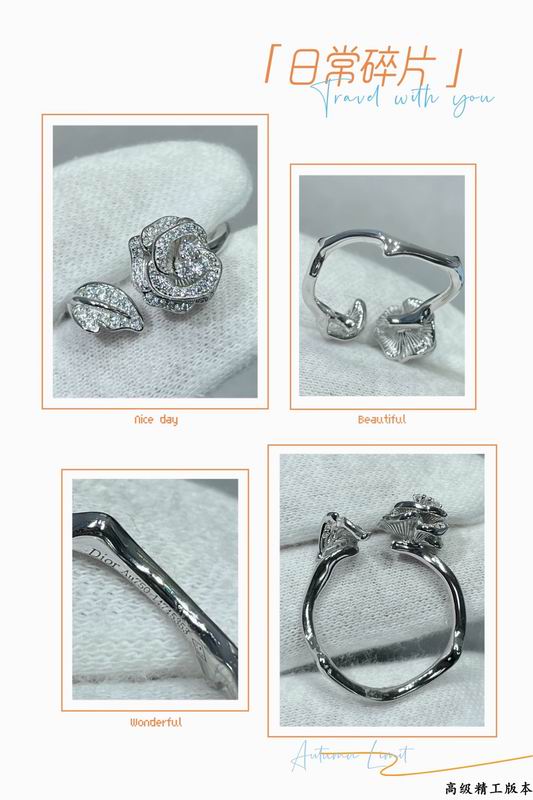 Dior Earring 09yxx01 (2)