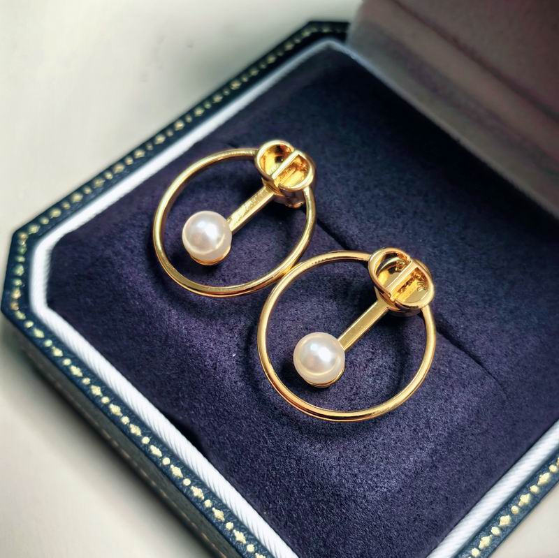 Dior Earring 09yxx108 (1)