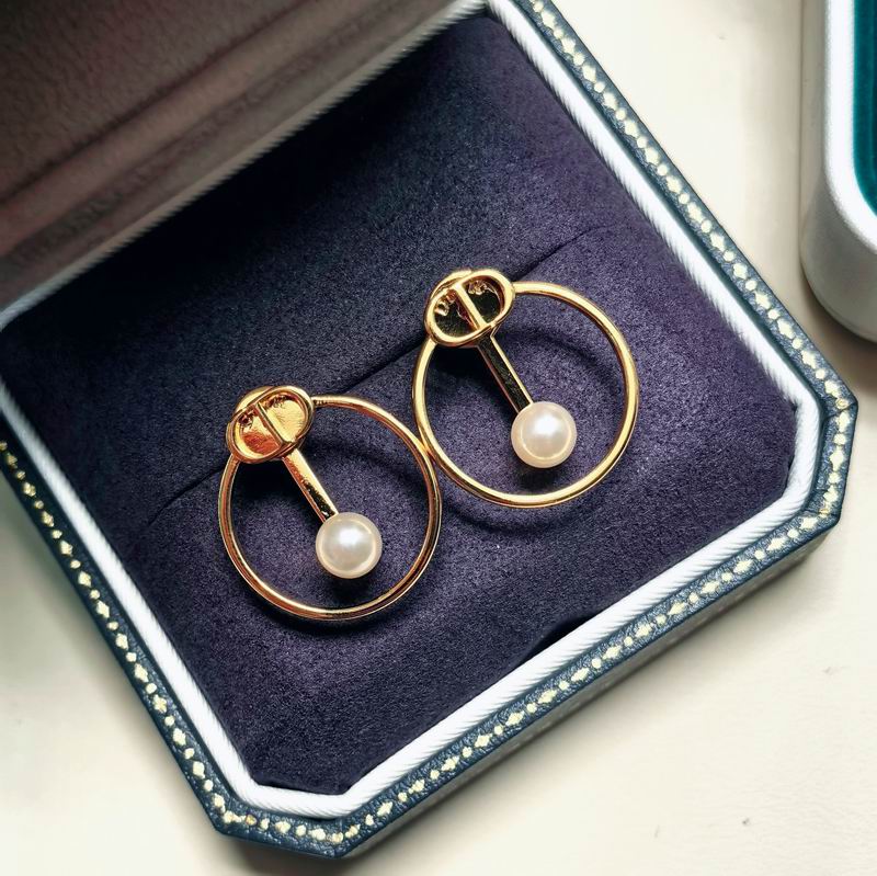 Dior Earring 09yxx108 (3)