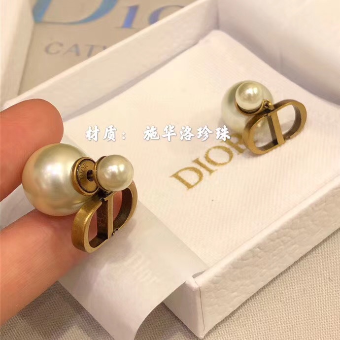 Dior Earring 09yxx110 (1)