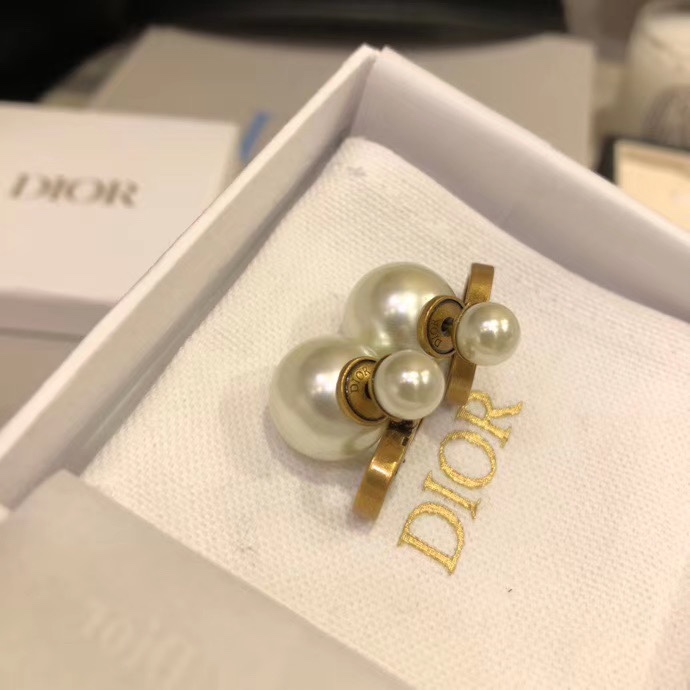 Dior Earring 09yxx110 (3)