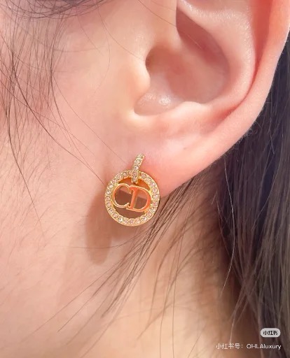 Dior Earring 09yxx30 (5)