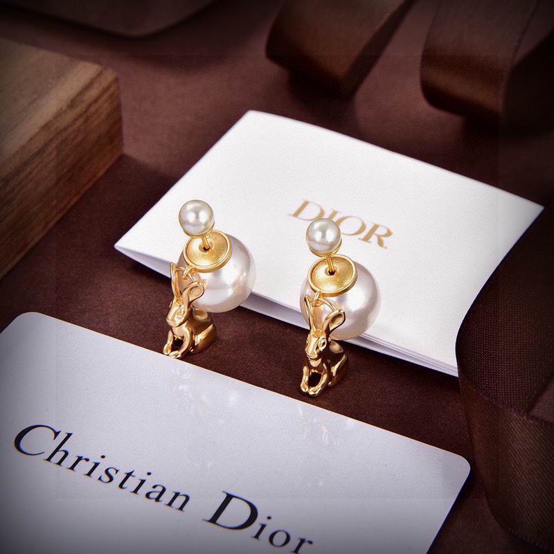 Dior Earring 09yxx41 (1)