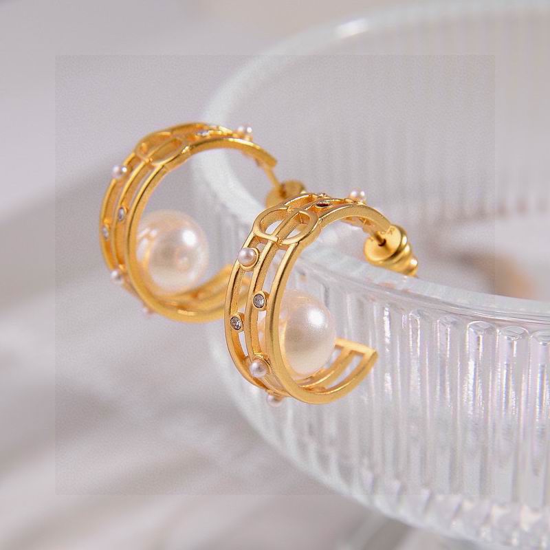 Dior Earring 09yxx47 (2)