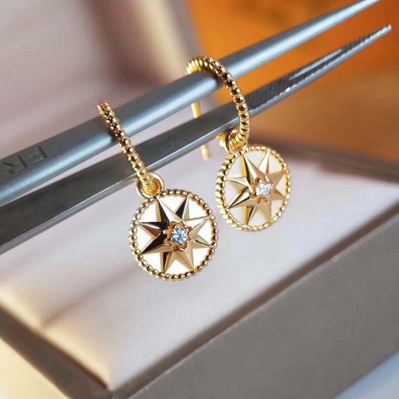 Dior Earring 09yxx57 (1)