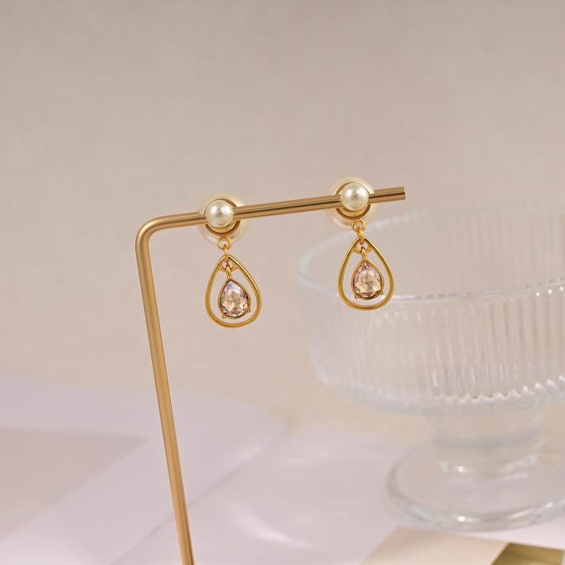 Dior Earring 09yxx91 (3)