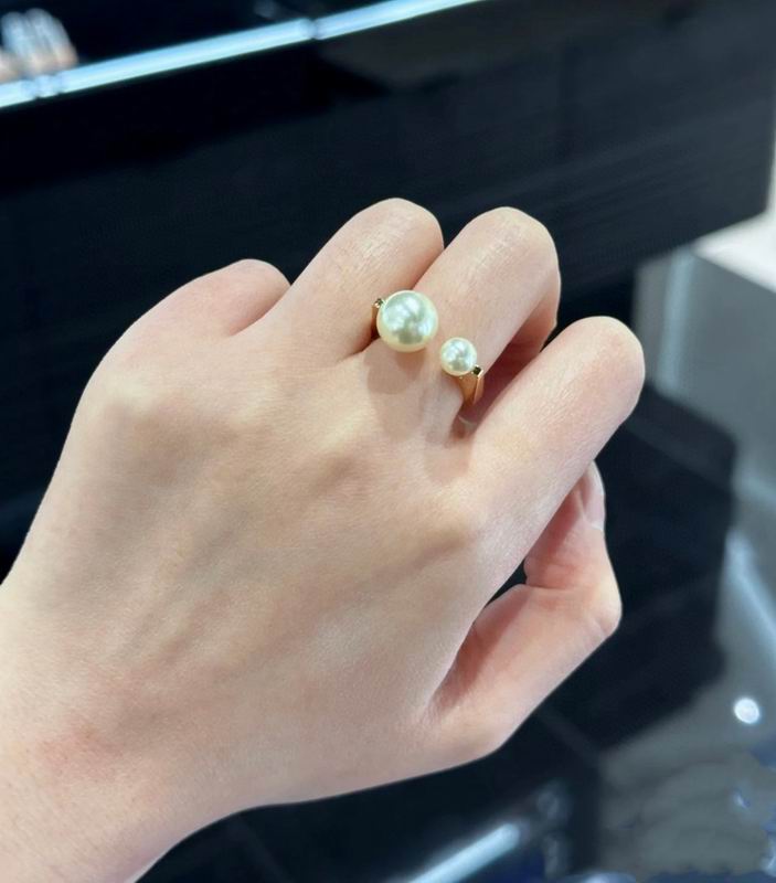 Dior Earring 10yxx02 (2)