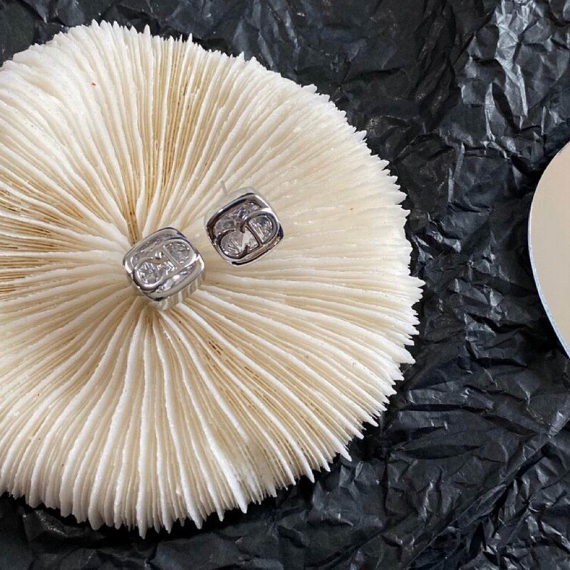 Dior Earring 10yxx130 (3)