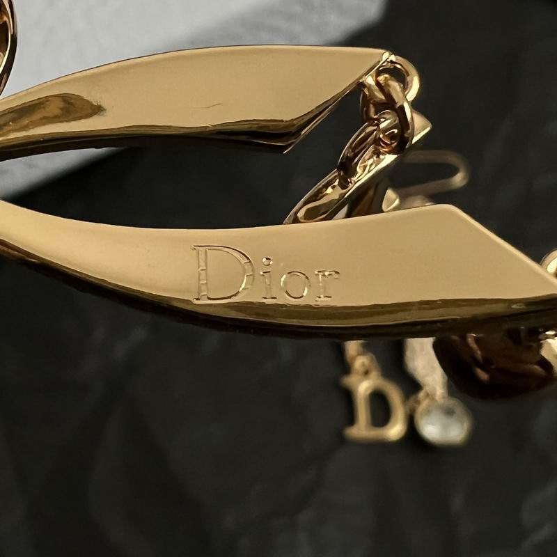 Dior Earring 10yxx145 (5)