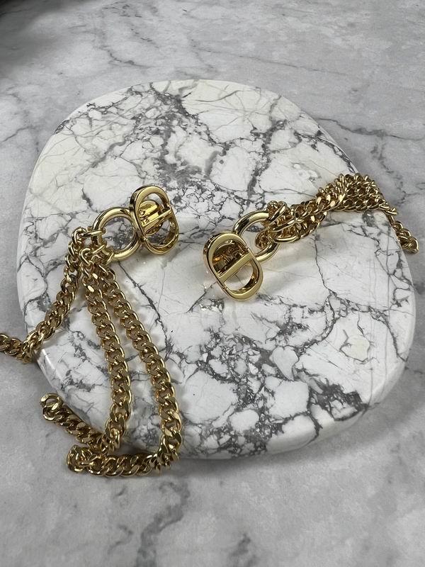 Dior Earring 11yxx163 (1)