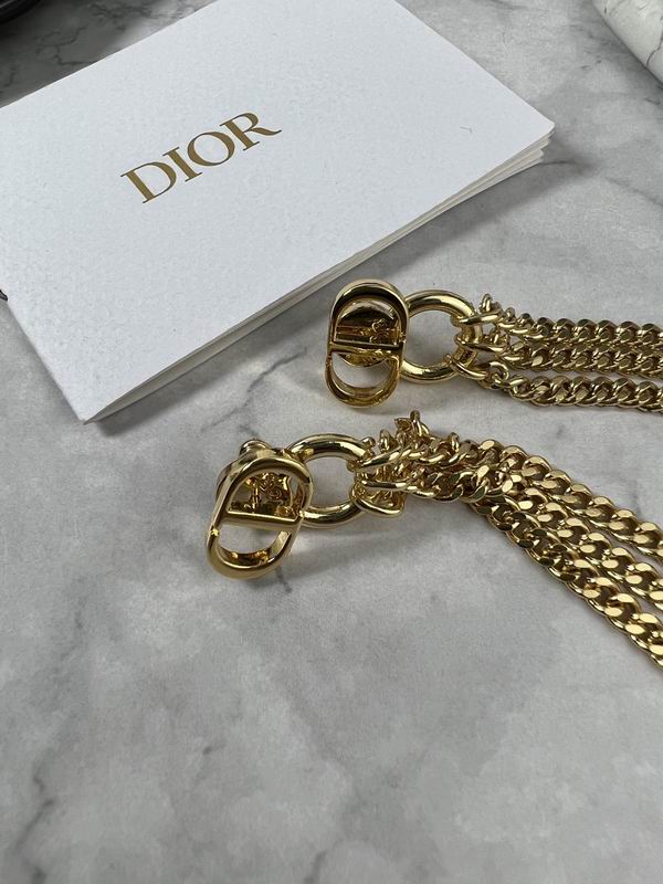 Dior Earring 11yxx163 (3)