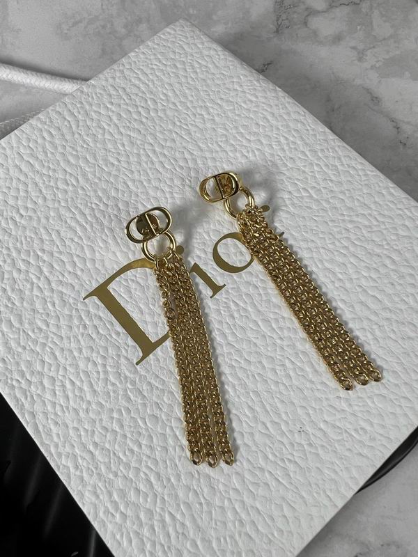 Dior Earring 11yxx163 (4)