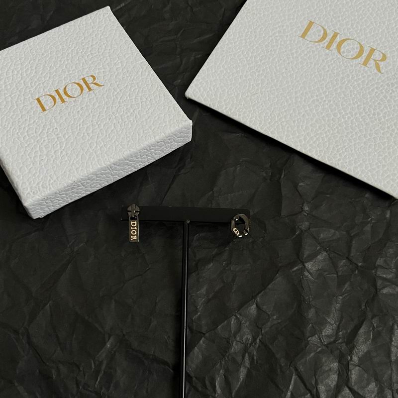 Dior Earring 11yxx166 (1)