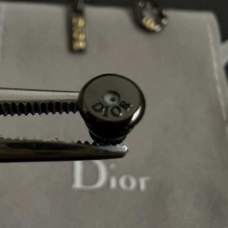 Dior Earring 11yxx166 (6)