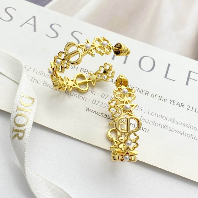 Dior Earring 11yxx172 (5)