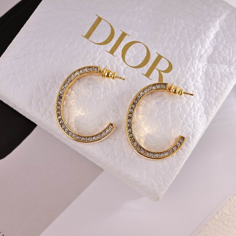 Dior Earring 11yxx173 (4)