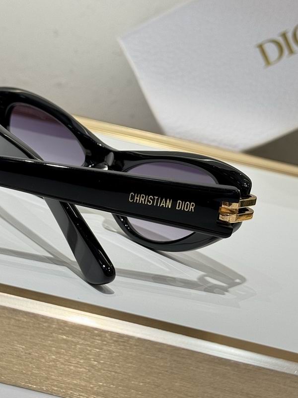 Dior Glasses smr (101)