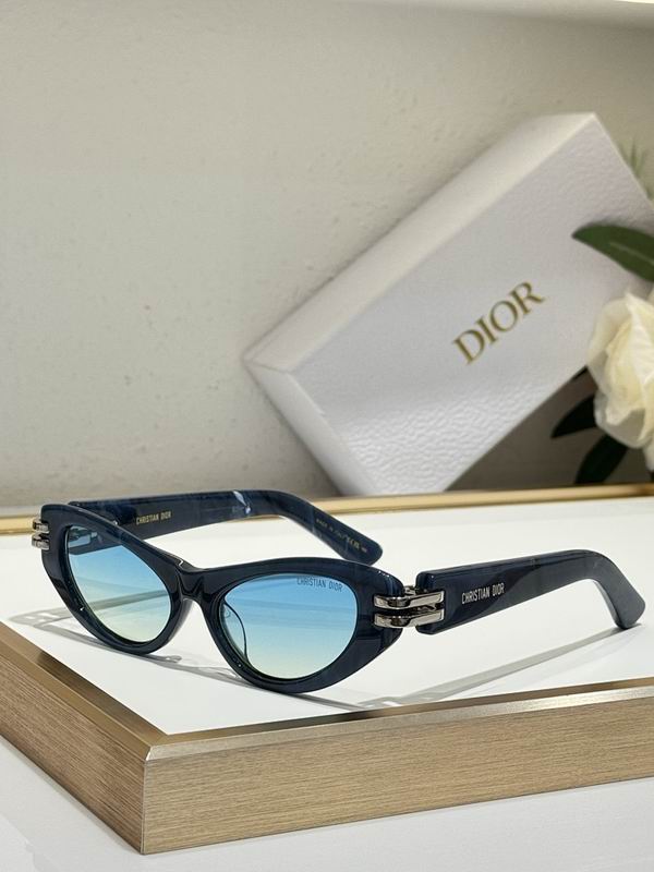 Dior Glasses smr (104)
