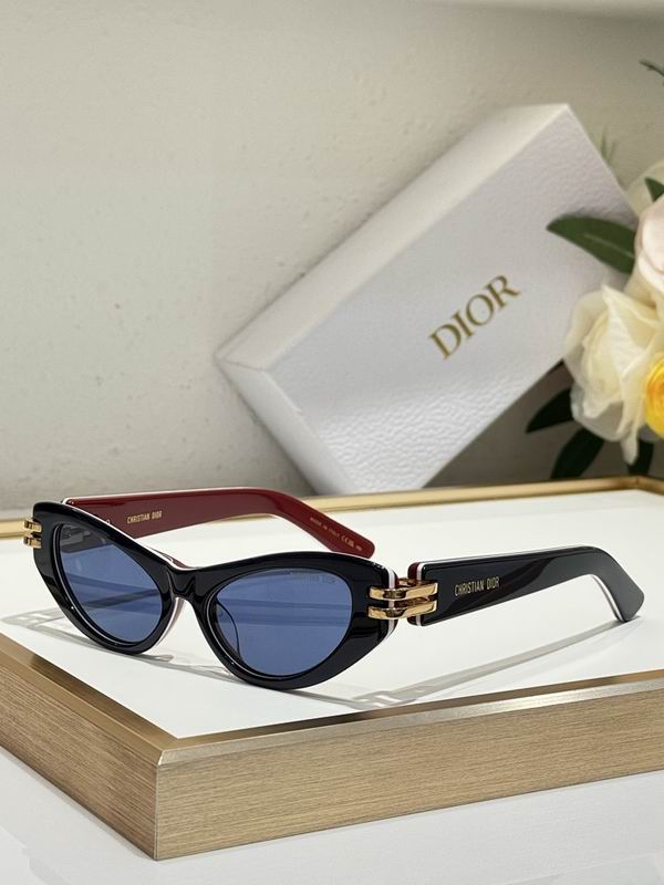 Dior Glasses smr (105)