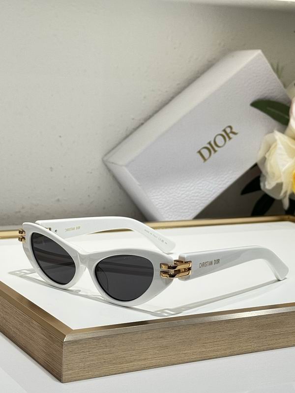 Dior Glasses smr (106)