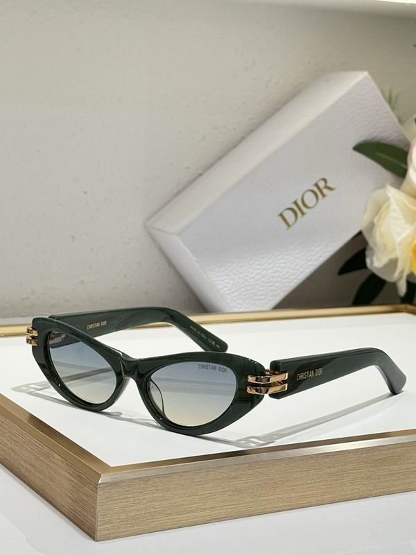 Dior Glasses smr (107)