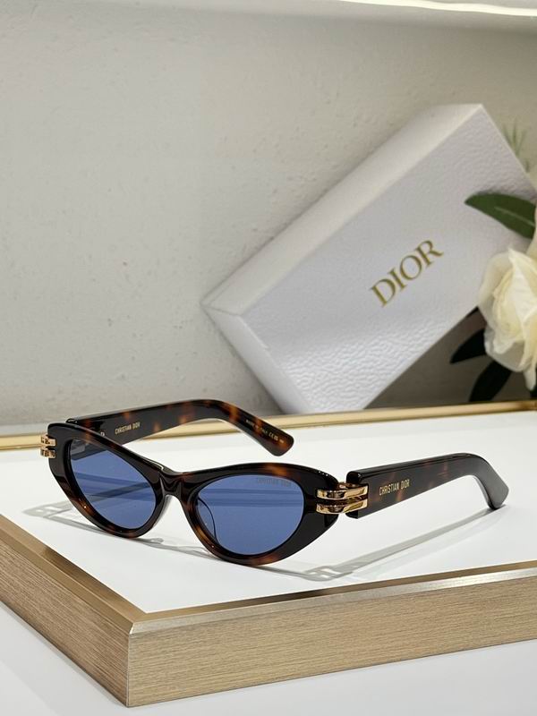 Dior Glasses smr (108)