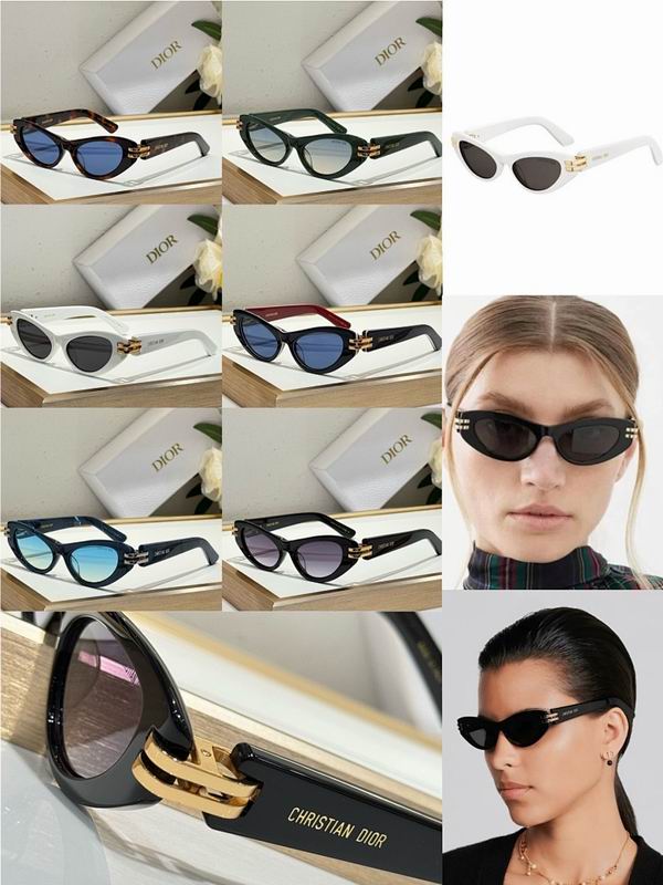 Dior Glasses smr (109)