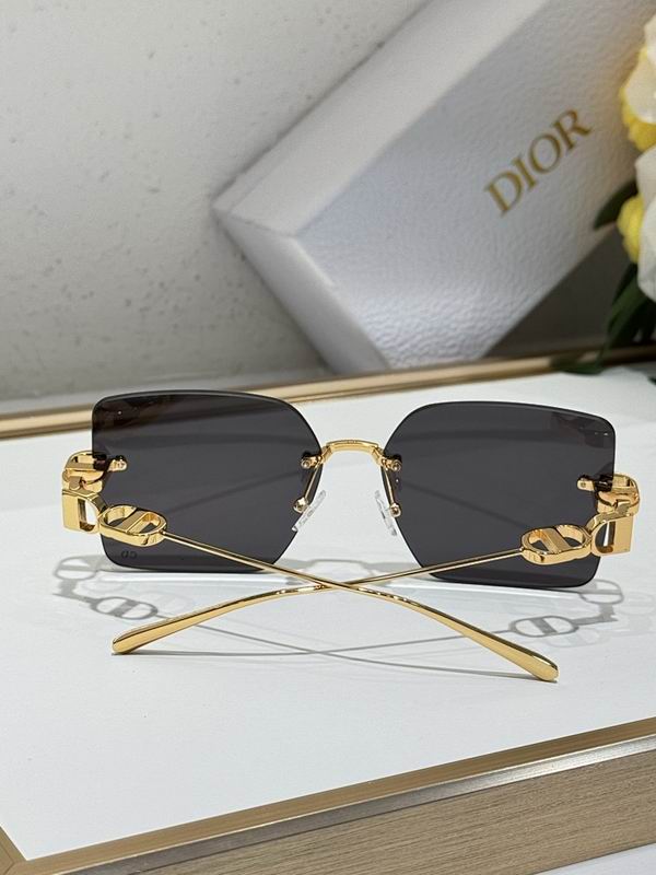 Dior Glasses smr (11)