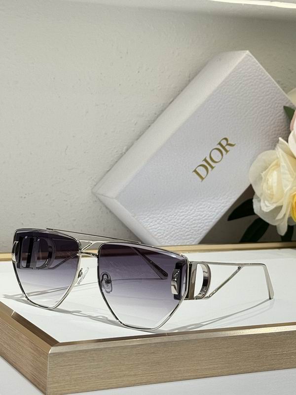 Dior Glasses smr (116)