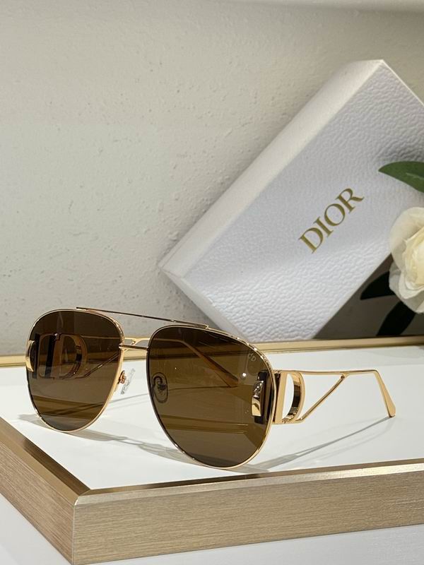 Dior Glasses smr (125)
