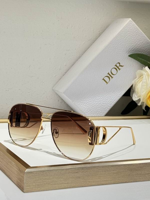 Dior Glasses smr (127)