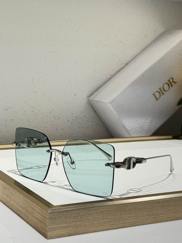 Dior Glasses smr (13)