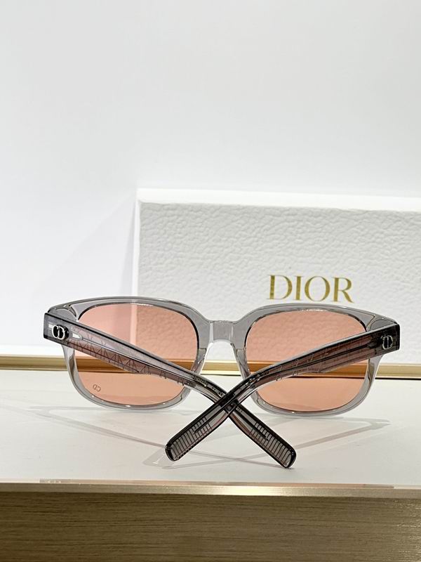 Dior Glasses smr (130)