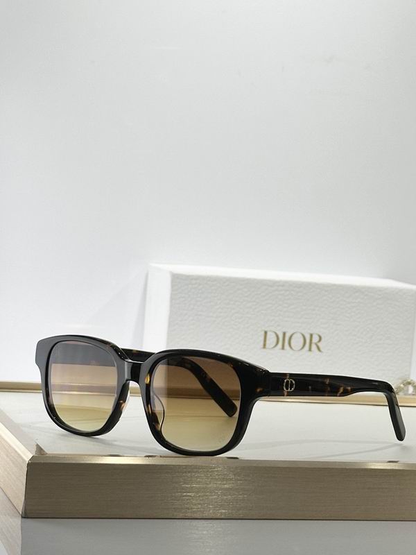 Dior Glasses smr (131)