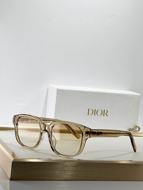 Dior Glasses smr (132)