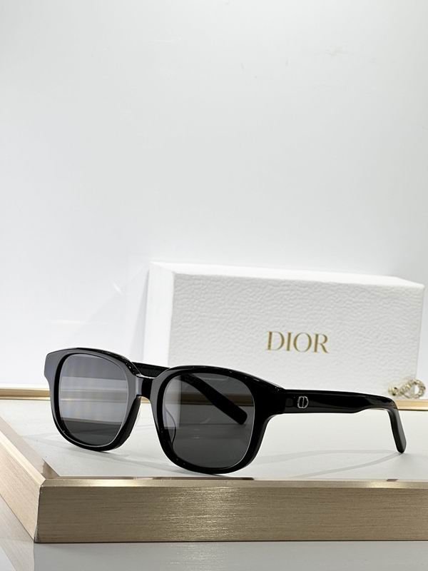 Dior Glasses smr (133)