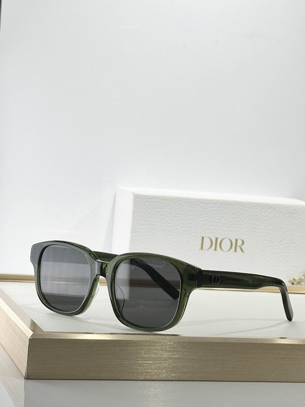Dior Glasses smr (136)