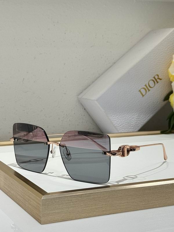 Dior Glasses smr (14)